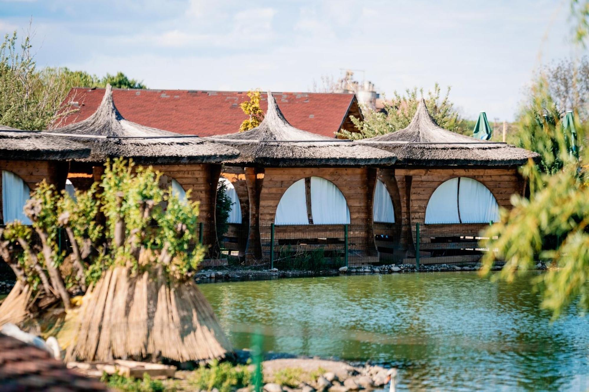 Montana Garden Hotel Rasinari Exterior photo